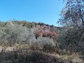 DSCN8820