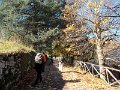 DSCN8855