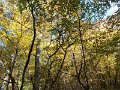 DSCN8883