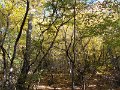 DSCN8884