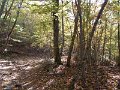 DSCN8885