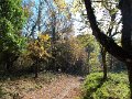 DSCN8910