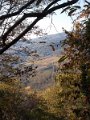 DSCN8914