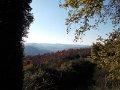 DSCN8916