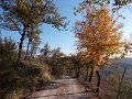 DSCN8934