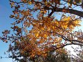 DSCN8940