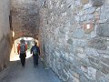 DSCN8946