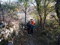 DSCN8948