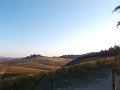DSCN8956