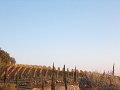 DSCN8963