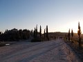 DSCN8968