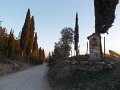 DSCN8971