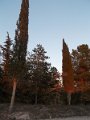 DSCN8974