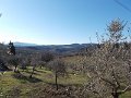 DSCN3282