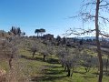 DSCN3285