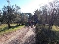DSCN3289