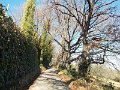 DSCN3293