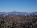 DSCN3314
