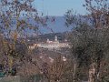 DSCN3356