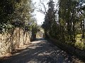 DSCN3368