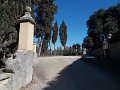 DSCN3369