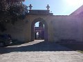 DSCN3377