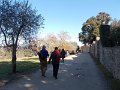 DSCN3378