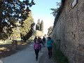 DSCN3382