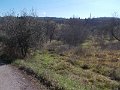 DSCN3383