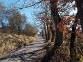 DSCN3386