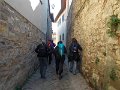 DSCN3388
