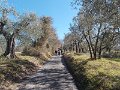 DSCN3413