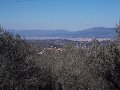 DSCN3417