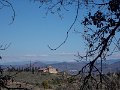 DSCN3422