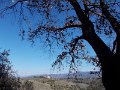 DSCN3423