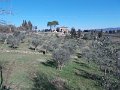 DSCN3427