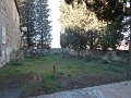 DSCN3433
