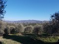 DSCN3437