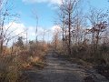 DSCN4653