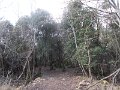 DSCN4665