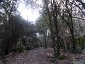 DSCN4667