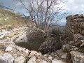 DSCN4713