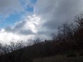 DSCN4731