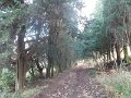 DSCN4755