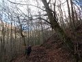 DSCN4761