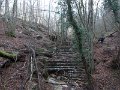 DSCN4763