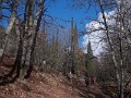 DSCN4767