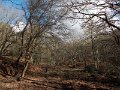 DSCN4770