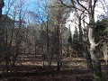 DSCN4771