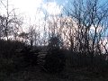 DSCN4778